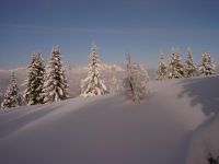 Am Hahnenkamm